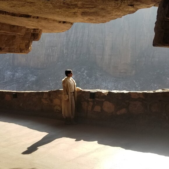 Danier Shearling Suede Coat - Picture 14 of 14